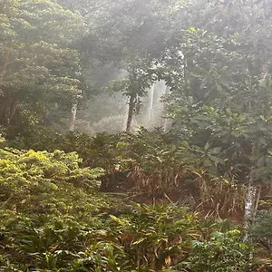 Falling Waters Hotel Munnar
